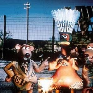 Foto A Fuga das Galinhas