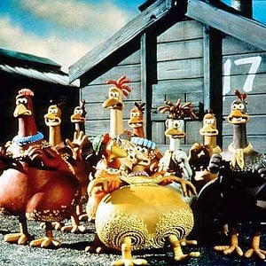 Foto A Fuga das Galinhas