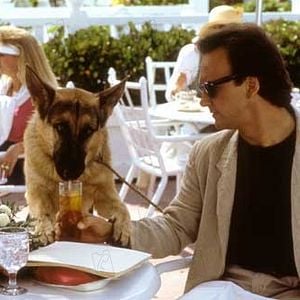 Foto K-9 - Um Policial Bom pra Cachorro