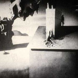 Foto Quando Fala o Coração