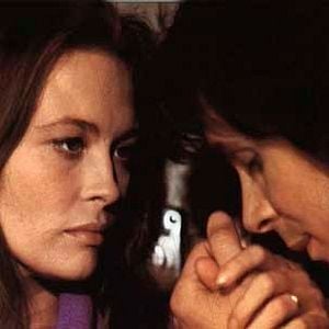 Foto Uma Casa Sob as Árvores