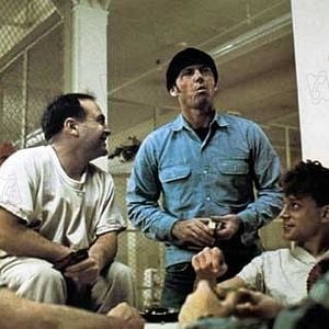 Foto Um Estranho no Ninho