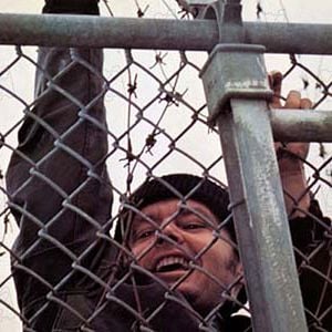 Foto Um Estranho no Ninho