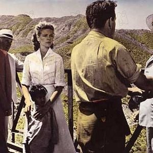 Foto Sangue Sobre a Índia