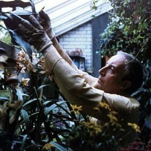 Foto Muito Além do Jardim