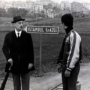 Foto Gaviões e Passarinhos