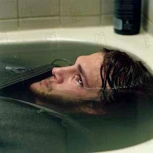 Foto Efeito Borboleta