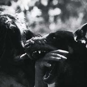 Foto O Garoto Selvagem