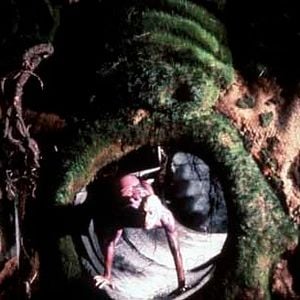 Foto Peter Greenaway