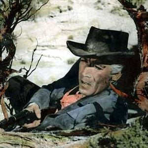 Foto Minha Vontade é Lei