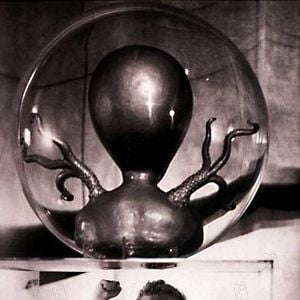 Foto William Cameron Menzies