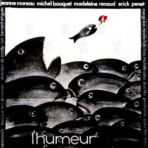 Foto Humor Vagabundo