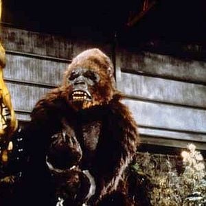 Foto King Kong 2