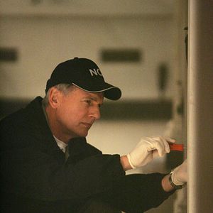 Foto Mark Harmon
