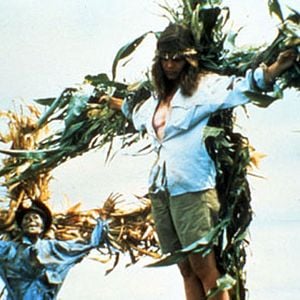 Foto Colheita Maldita