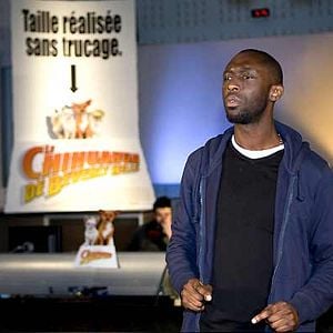 Foto Perdido pra Cachorro