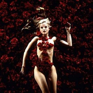 Foto Beleza Americana