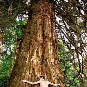 Foto Arthur e a Vingança de Maltazard