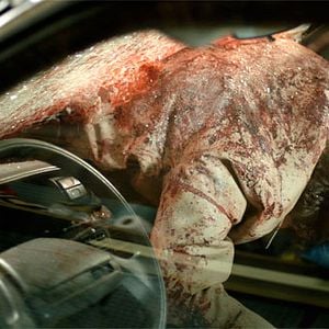 Foto Em Rota de Colisão