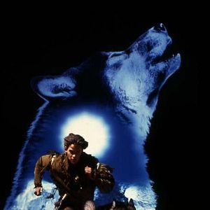 Foto Caninos Brancos 2 - A Lenda do Lobo Branco