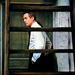 Foto Cortina Rasgada