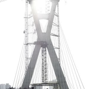 Foto Ensaio sobre a Cegueira