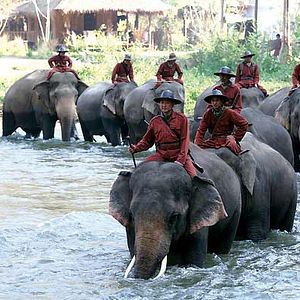 Foto A Floresta de Bronze