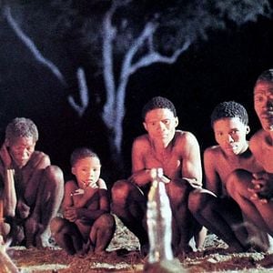 Foto Os Deuses Devem Estar Loucos