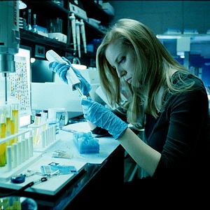 Foto Splice - A Nova Espécie