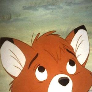 Foto O Cão e a Raposa