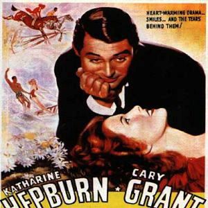 Foto Boêmio Encantador