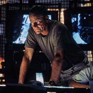 Foto Falcão Negro em Perigo