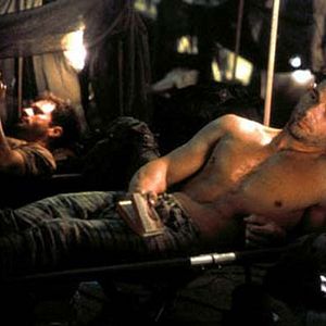 Foto Falcão Negro em Perigo