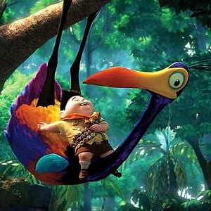 Foto Up - Altas Aventuras