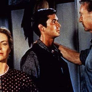 Foto A Árvore dos Enforcados