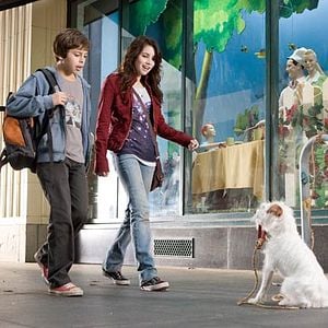 Foto Um Hotel Bom pra Cachorro