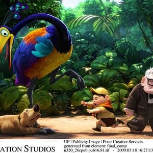 Foto Up - Altas Aventuras