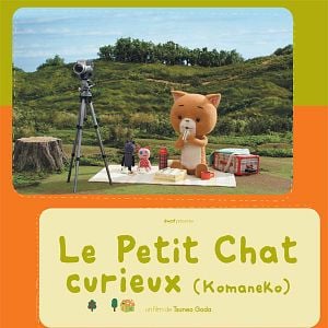 Foto Komaneko, o Gatinho Curioso