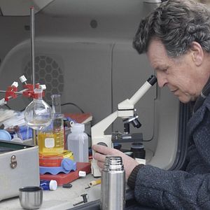 Foto John Noble