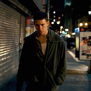 Foto Veia de Lutador