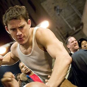 Foto Veia de Lutador