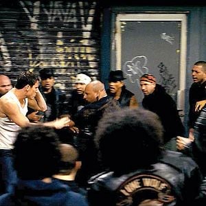 Foto Veia de Lutador