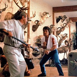 Foto Matador de Aluguel