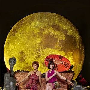 Foto Pushing Daisies