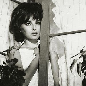 Foto Confusões à Italiana