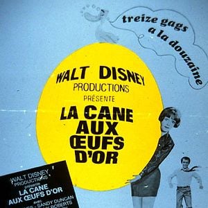 Foto Este Pato Vale Ouro