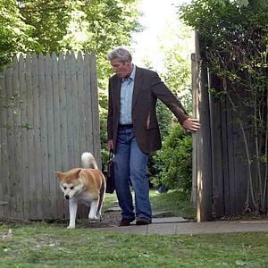 Foto Sempre ao Seu Lado