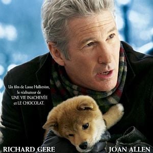 Foto Sempre ao Seu Lado