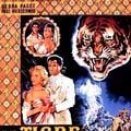 Foto O Tigre da Índia