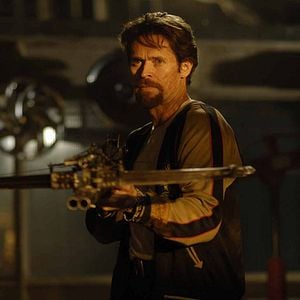 Foto 2019 - O Ano da Extinção